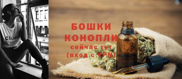 ПСИЛОЦИБИНОВЫЕ ГРИБЫ Медвежьегорск