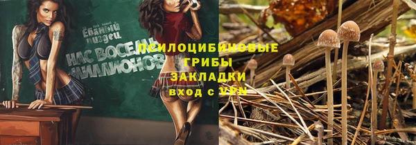 герыч Кулебаки