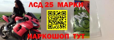 2c-b Донской