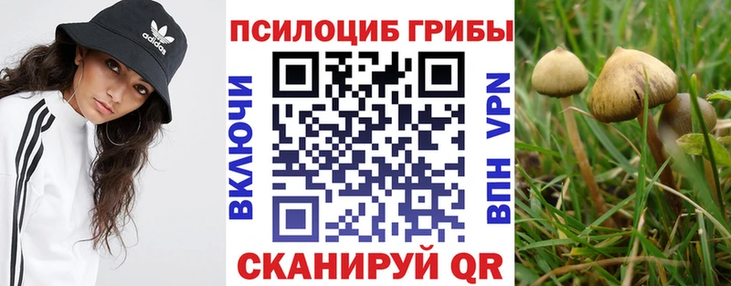 Псилоцибиновые грибы Magic Shrooms  Усинск 