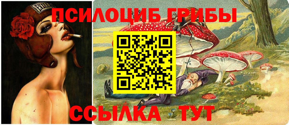 Галлюциногенные грибы Psilocybe Усинск