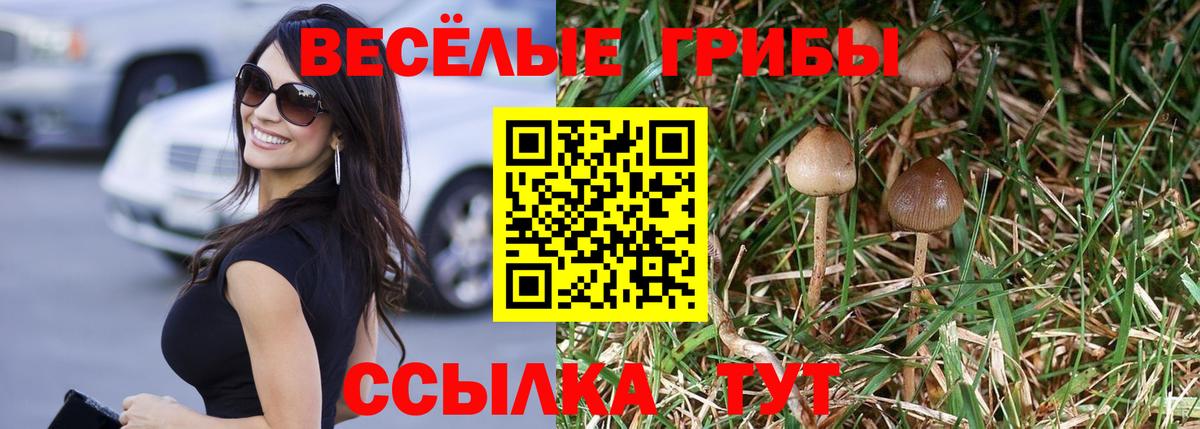 Усинск  Галлюциногенные грибы Cubensis  Вход с VPN 