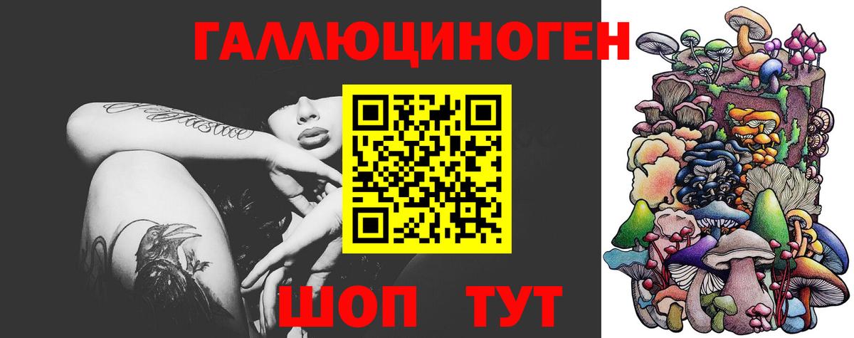 Псилоцибиновые грибы MAGIC MUSHROOMS  Усинск  Галлюциногенные грибы Psilocybe 